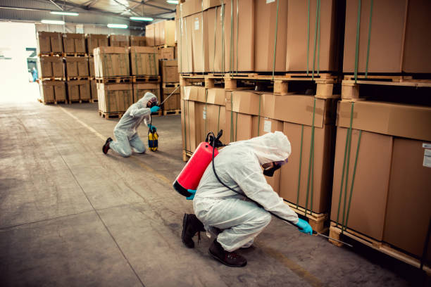 Best Pest Removal Services  in Nibley, UT