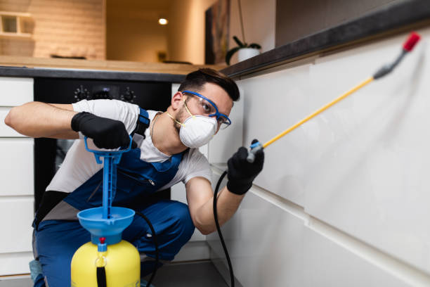 Best Termite Control Services  in Nibley, UT