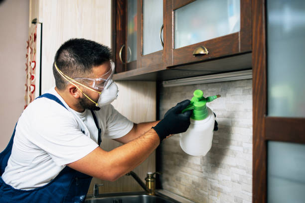 Best Local Pest Control Services  in Nibley, UT