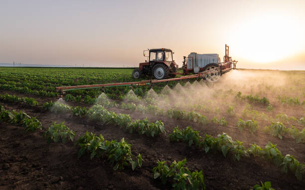 Best Pest Inspection Near Me  in Nibley, UT
