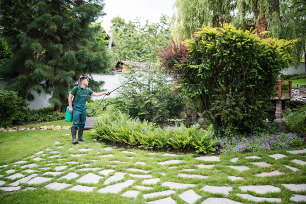Best Best Pest Control Companies  in Nibley, UT
