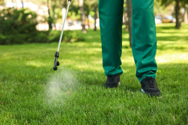 Best Wasp Removal Services  in Nibley, UT