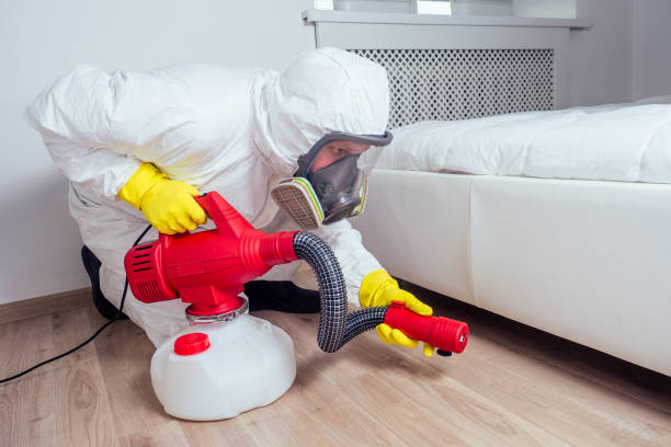 Best Affordable Pest Control Services  in Nibley, UT
