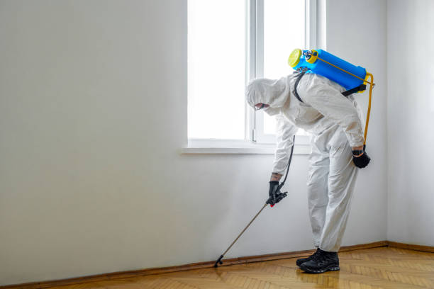Best Termite Control Services  in Nibley, UT