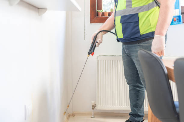Best Local Pest Control Services  in Nibley, UT