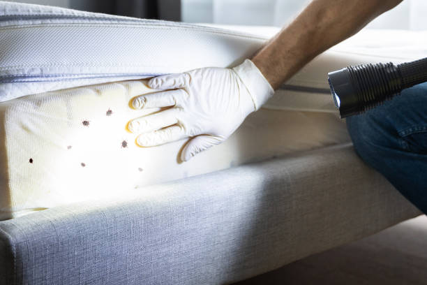 Best Affordable Pest Control Services  in Nibley, UT