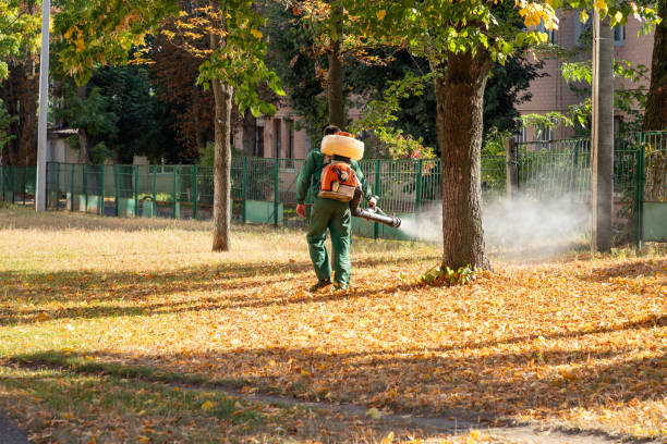 Best Commercial Pest Control Services  in Nibley, UT