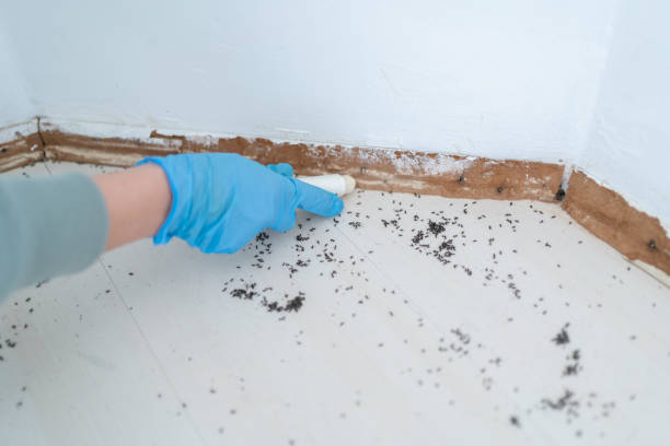 Best Pest Prevention Services  in Nibley, UT