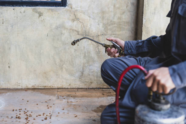 Best Cockroach Control Services  in Nibley, UT