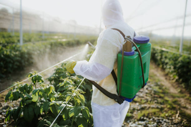 Trusted Nibley, UT Pest Control Experts